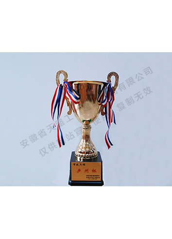廬州杯獎(jiǎng)項(xiàng)
